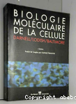 Biologie moléculaire de la cellule vignette